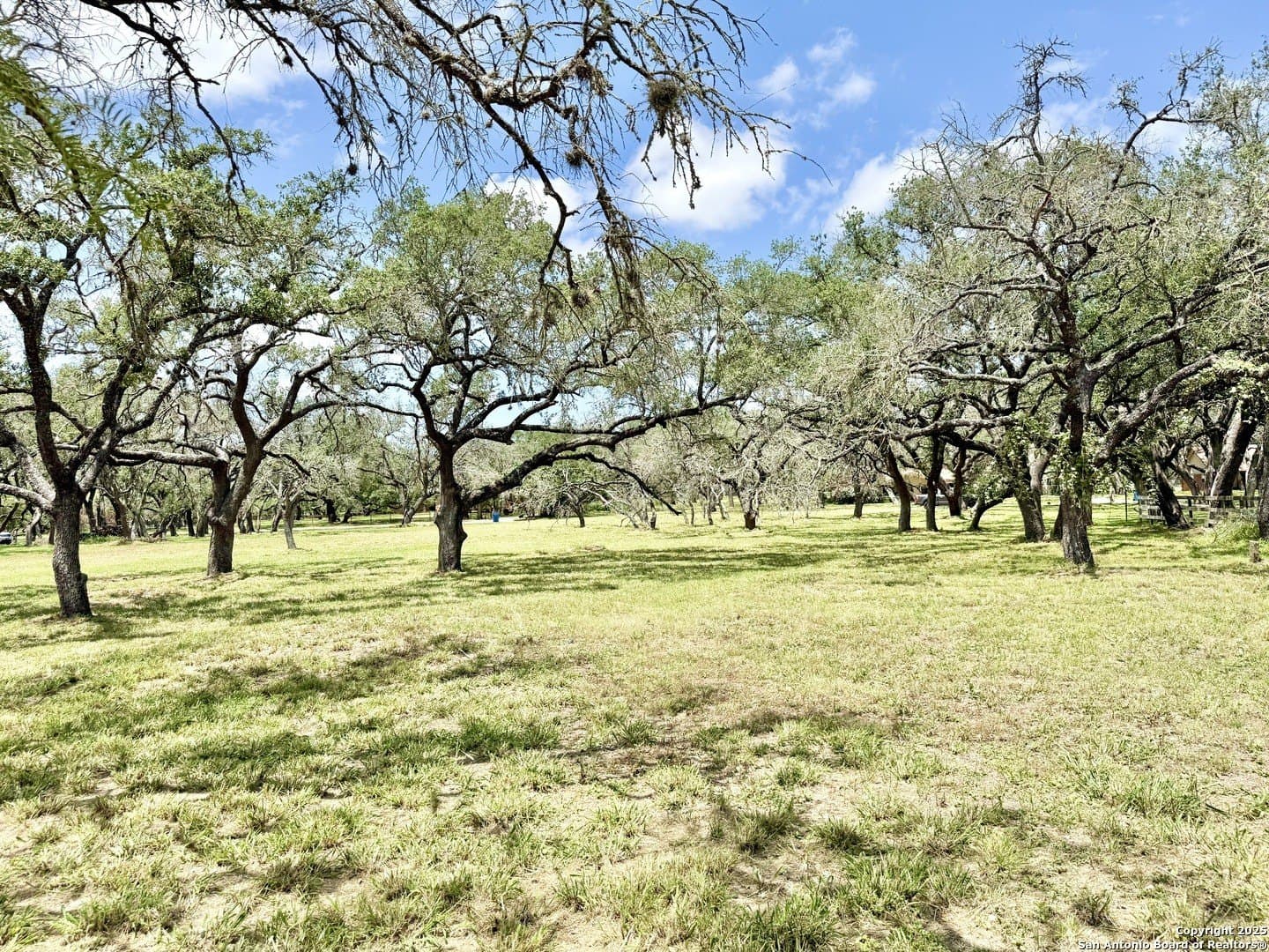 2 acres in Atascosa County - photo 4