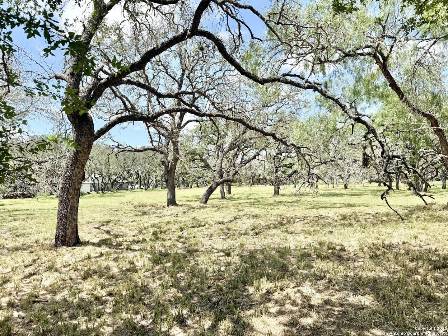 2 acres in Atascosa County - photo 5