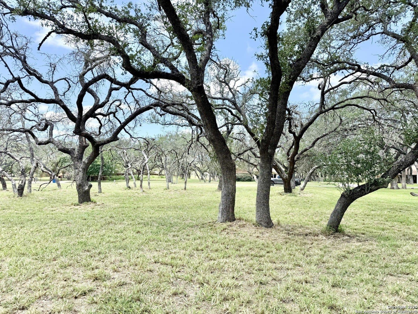2 acres in Atascosa County - photo 2