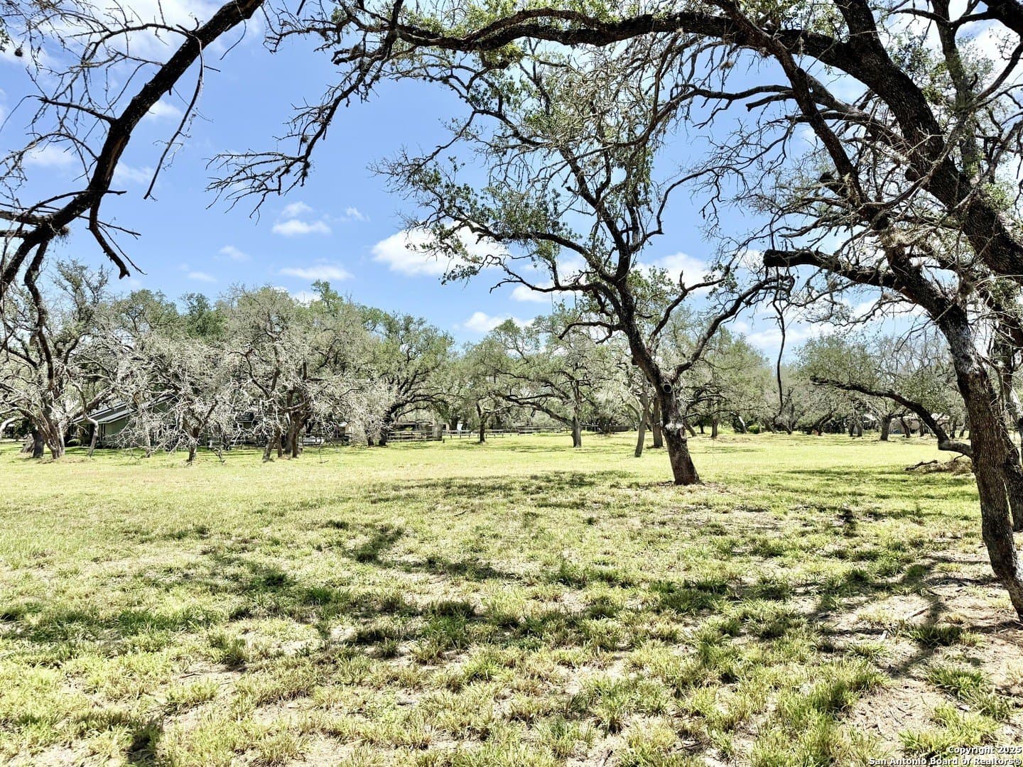 2 acres in Atascosa County - photo 11