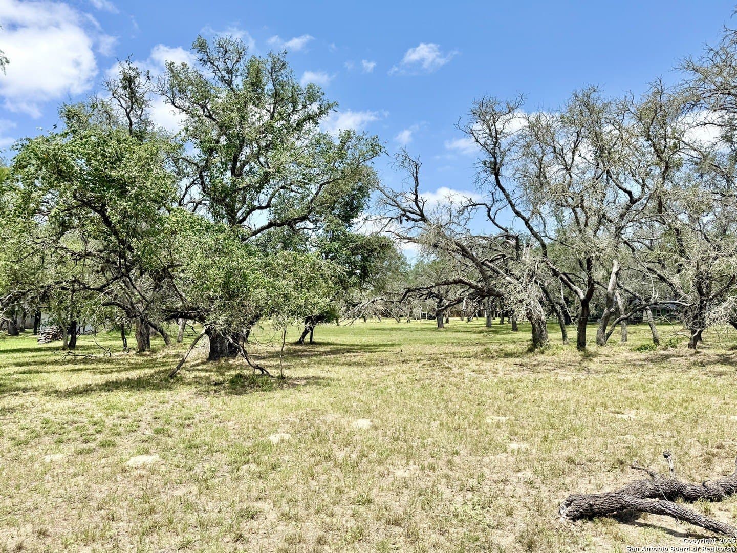 2 acres in Atascosa County - photo 14