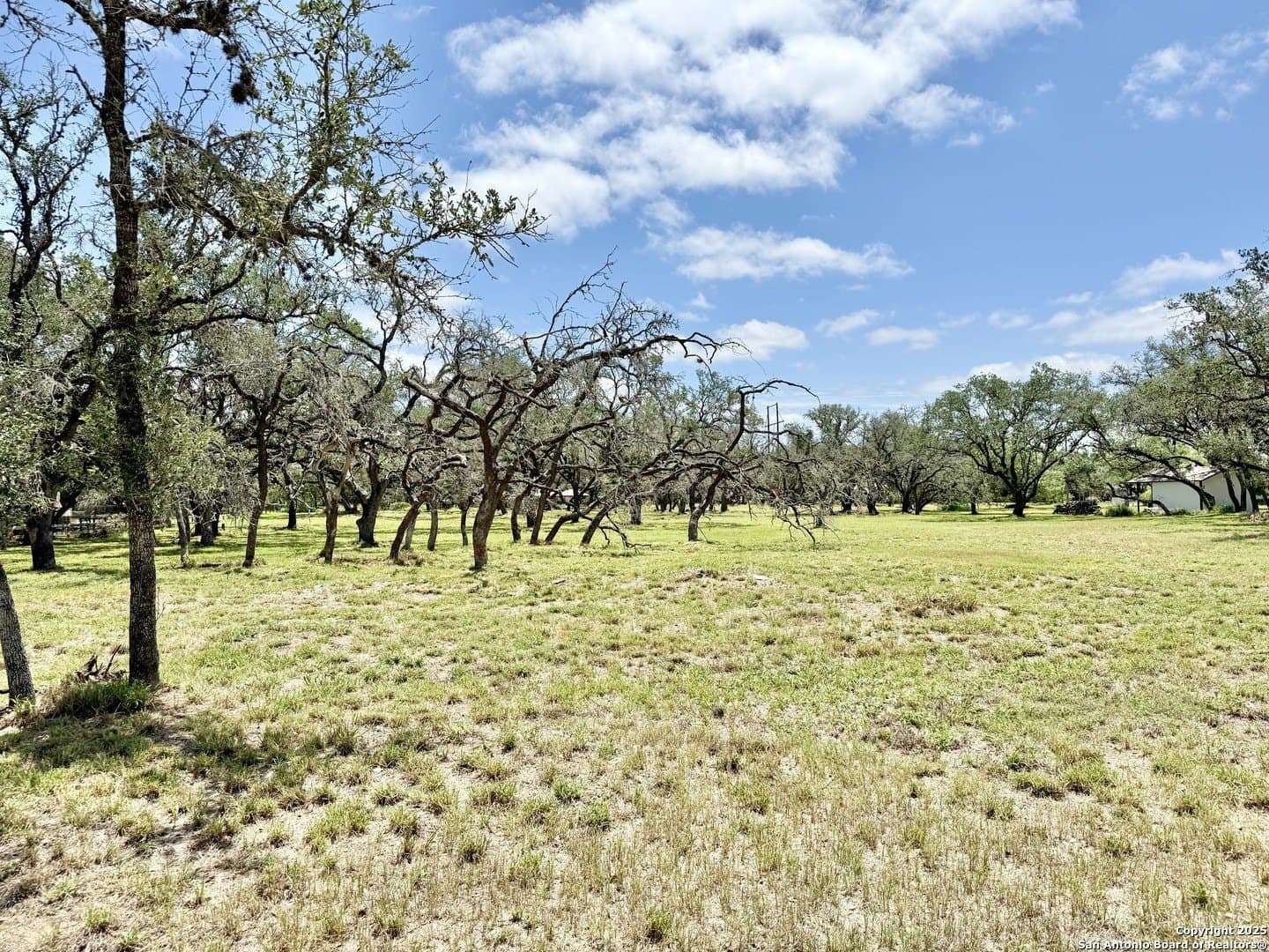 2 acres in Atascosa County - photo 13