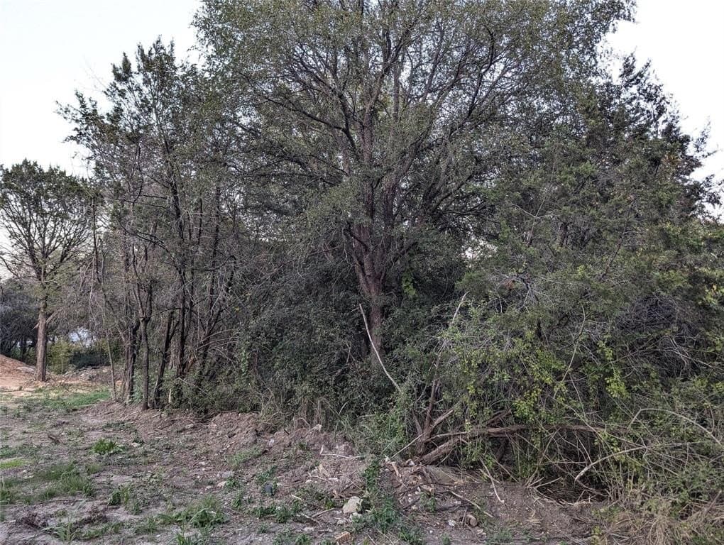 0.24 acres in Hood County - photo 3