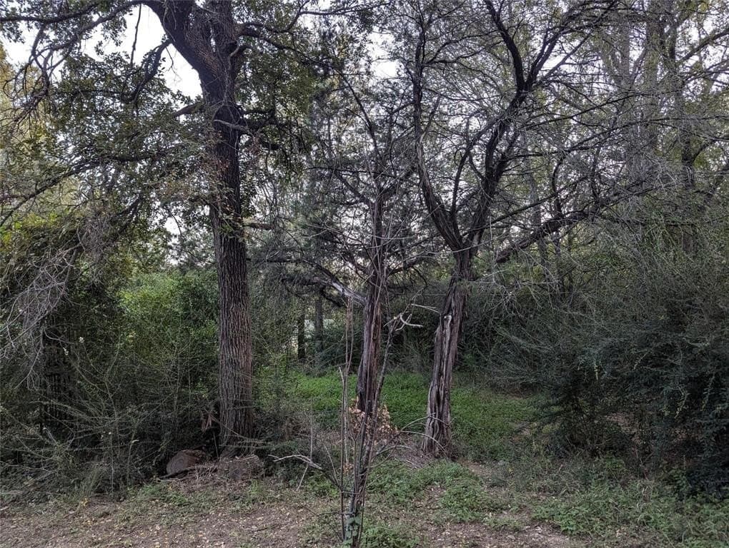 0.24 acres in Hood County - photo 4
