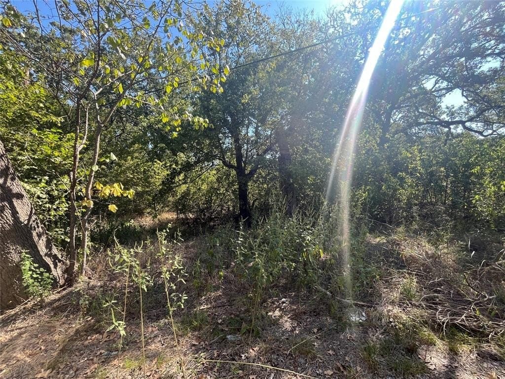 0.11 acres in Hunt County - photo 6