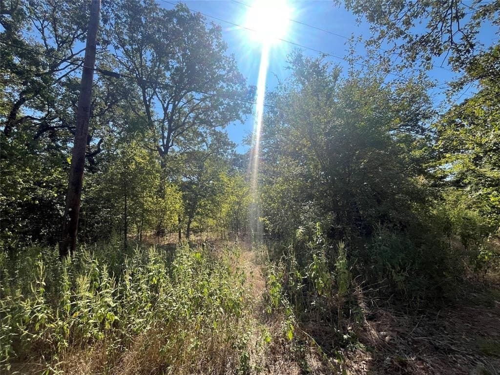 0.11 acres in Hunt County - photo 7