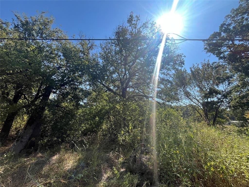 0.11 acres in Hunt County - photo 4