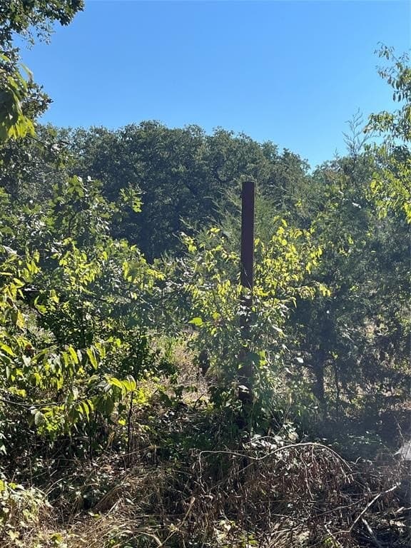 0.11 acres in Hunt County - photo 5