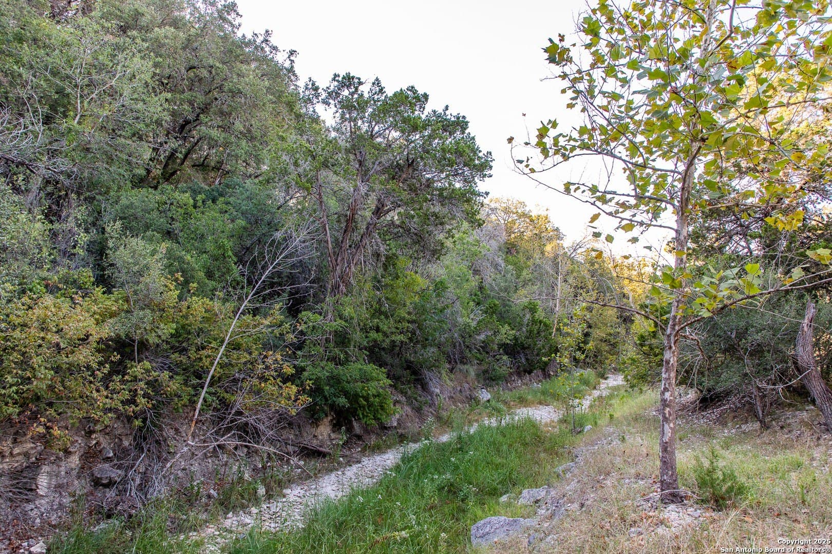 22 acres in Bandera County - photo 23
