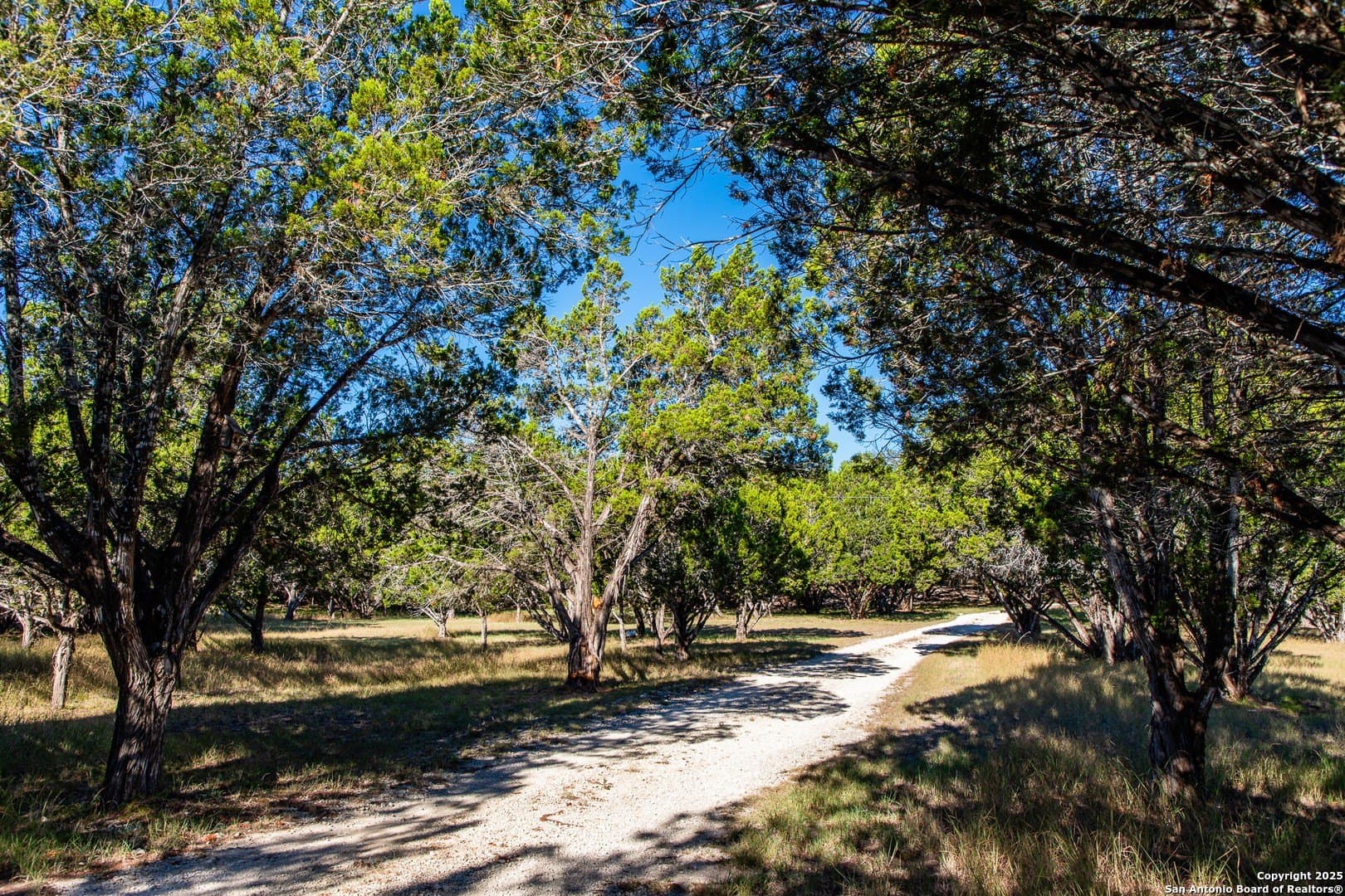 22 acres in Bandera County - photo 17