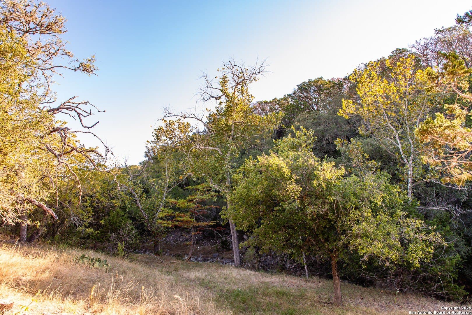 22 acres in Bandera County - photo 25
