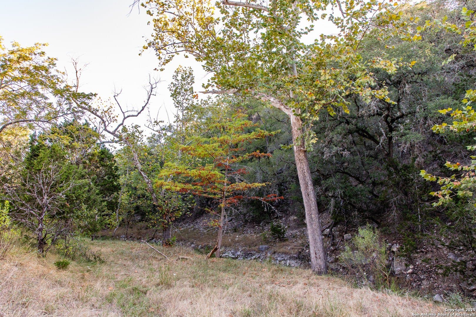 22 acres in Bandera County - photo 22