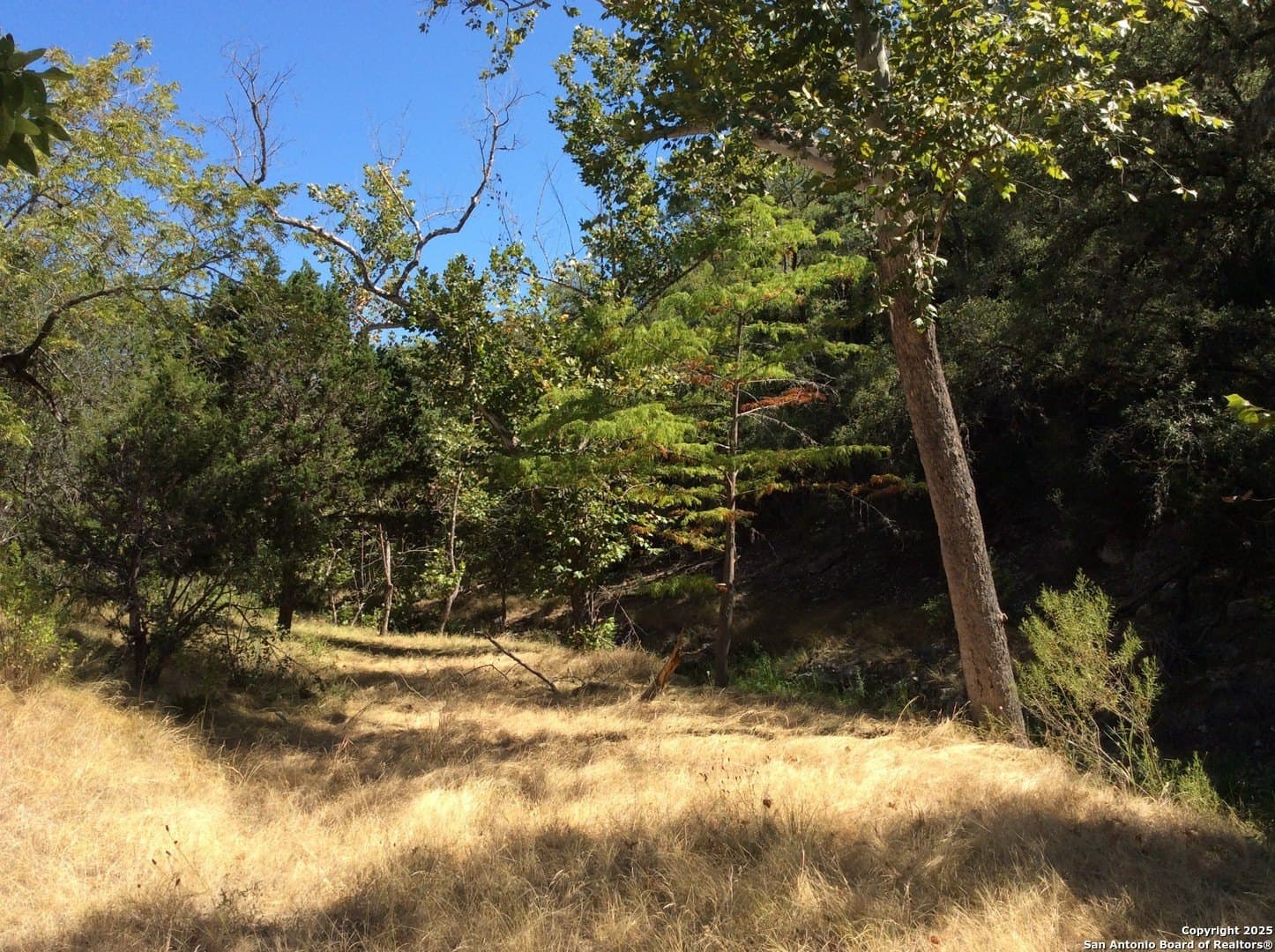 22 acres in Bandera County - photo 2