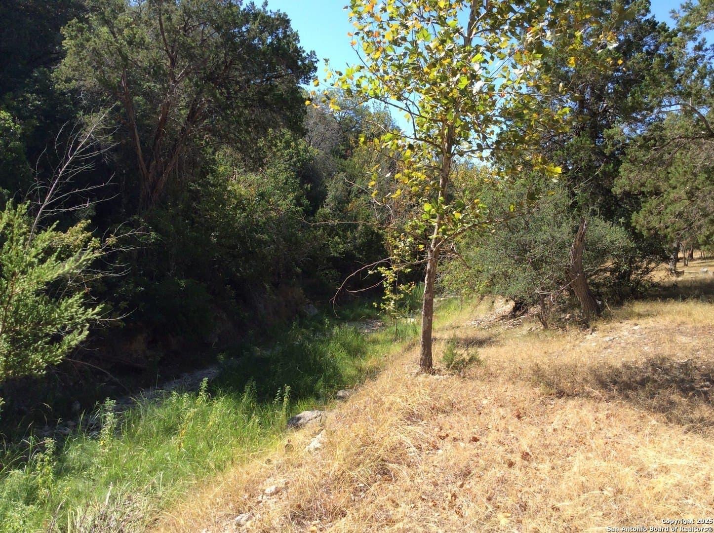 22 acres in Bandera County - photo 41