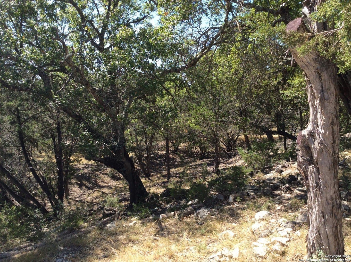 22 acres in Bandera County - photo 43