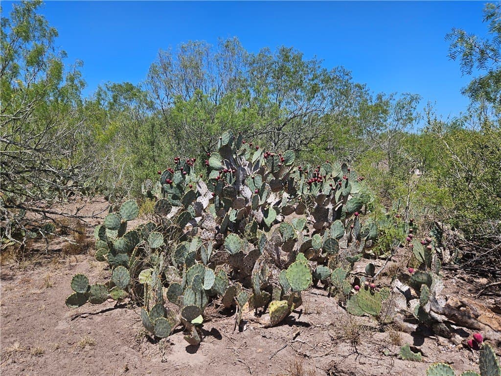 30.01 acres in Duval County - photo 28