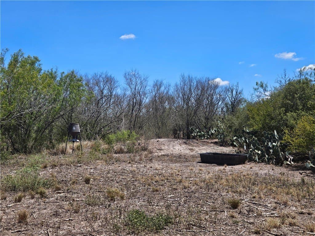 30.01 acres in Duval County - photo 26