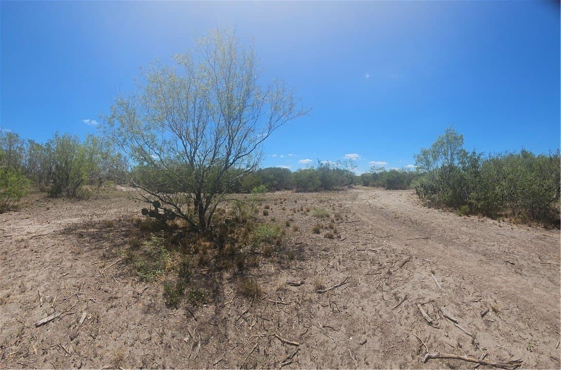 30.01 acres in Duval County - photo 31