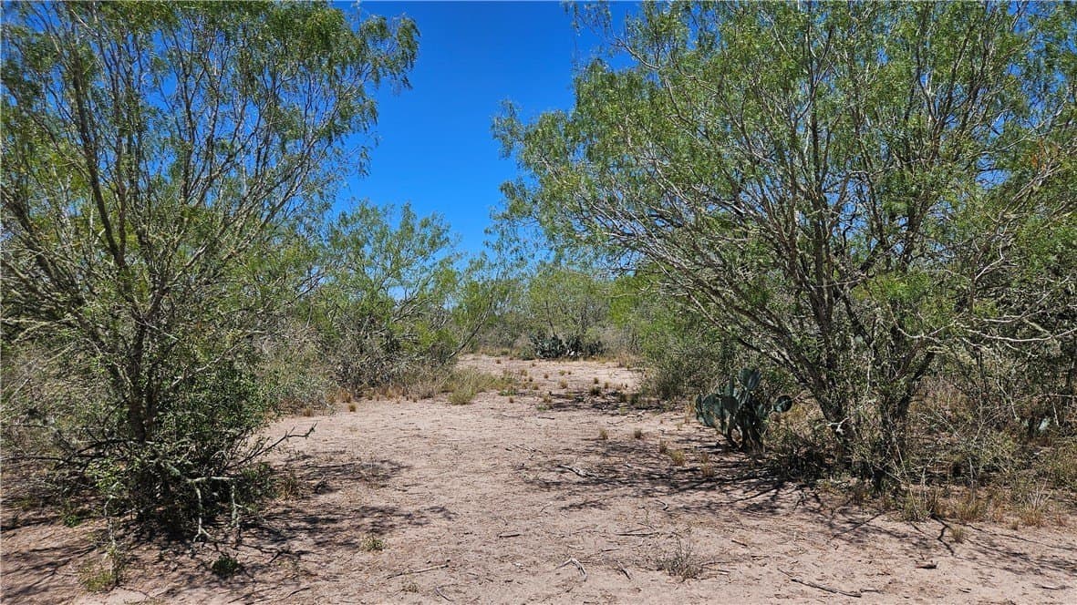 30.01 acres in Duval County - photo 25