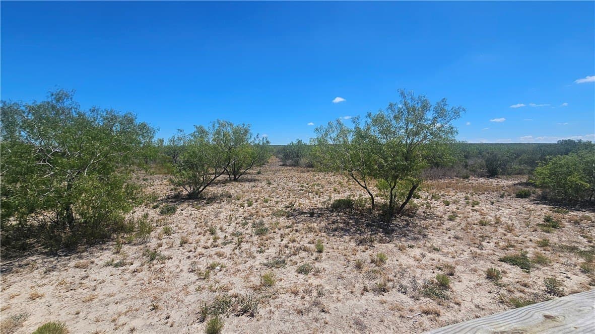 30.01 acres in Duval County - photo 14