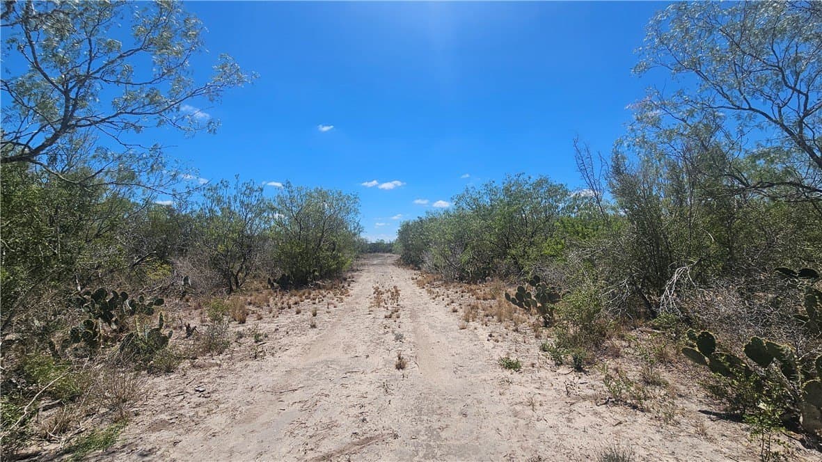 30.01 acres in Duval County - photo 4