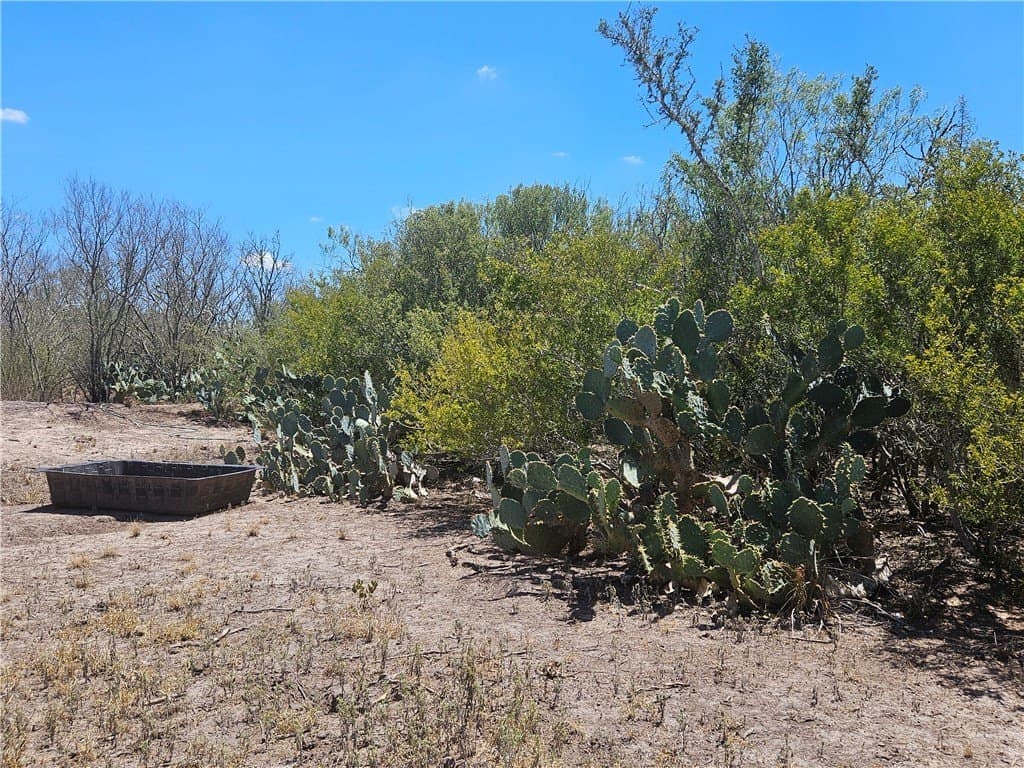 30.01 acres in Duval County - photo 27