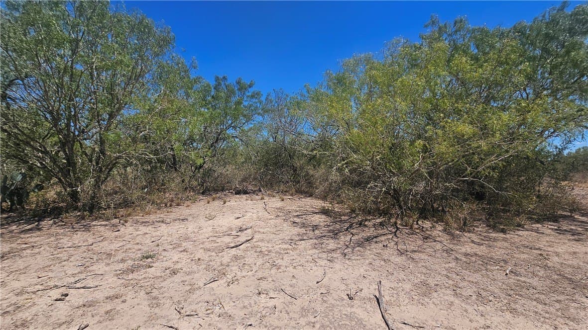 30.01 acres in Duval County - photo 29