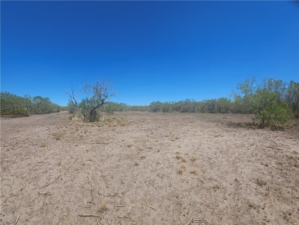 30.01 acres in Duval County - photo 30