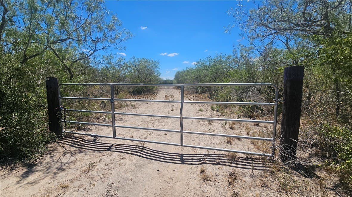 30.01 acres in Duval County - photo 3