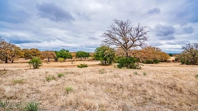 133 acres in Hood County - photo 16