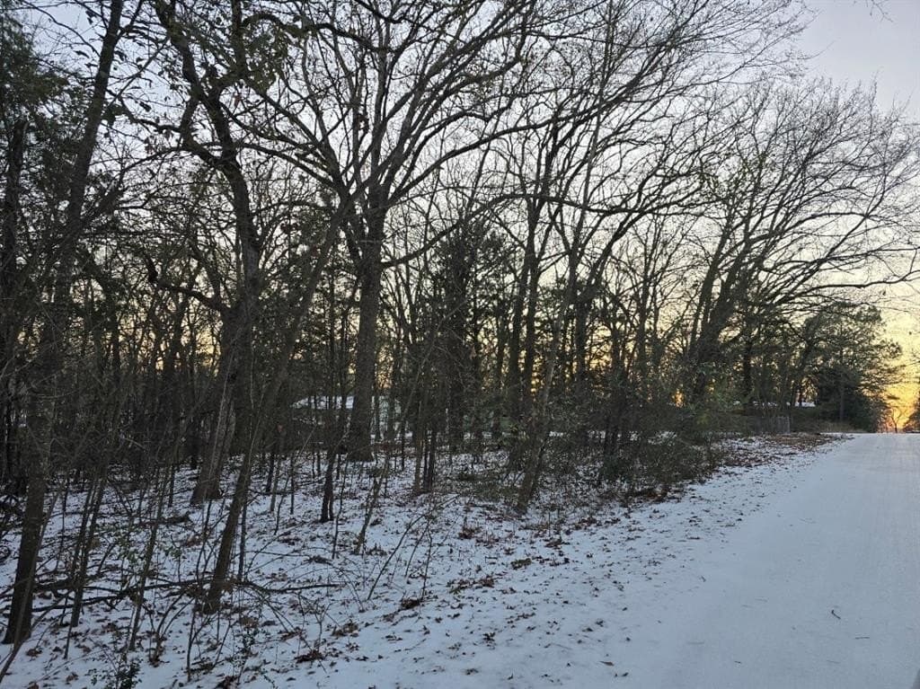 0.59 acres in Henderson County - photo 2