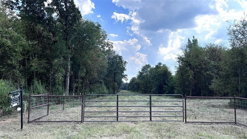 60.53 acres in Hopkins County - photo 3