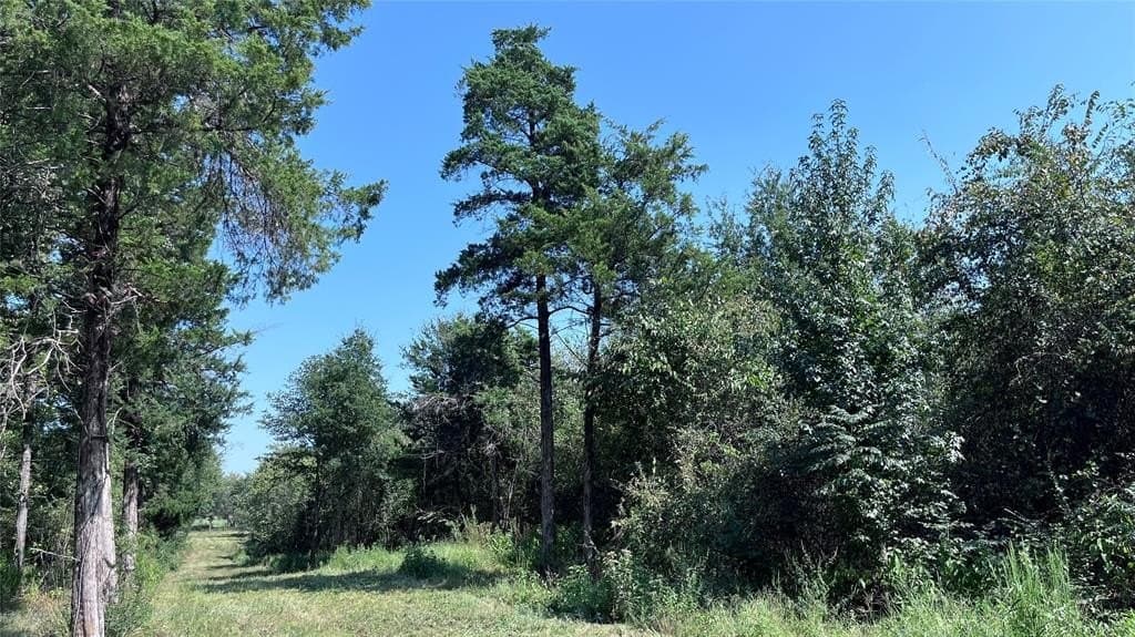 60.53 acres in Hopkins County - photo 7