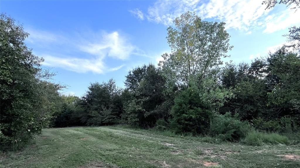 60.53 acres in Hopkins County - photo 6