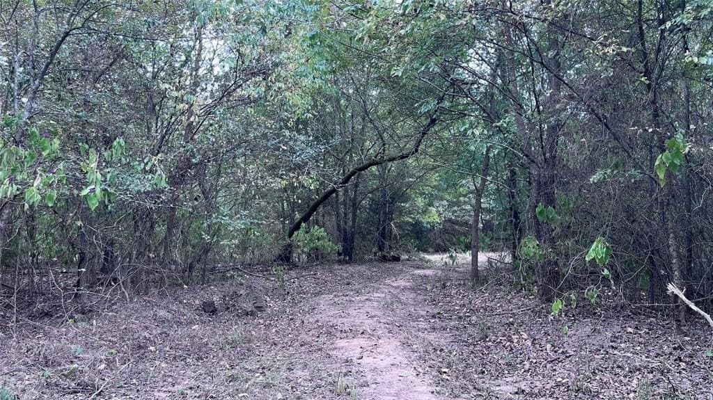 60.53 acres in Hopkins County - photo 5
