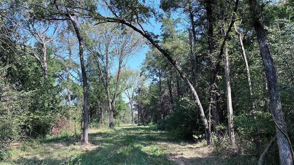 60.53 acres in Hopkins County - photo 15