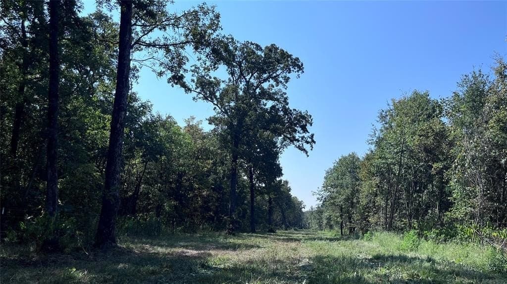 60.53 acres in Hopkins County - photo 11
