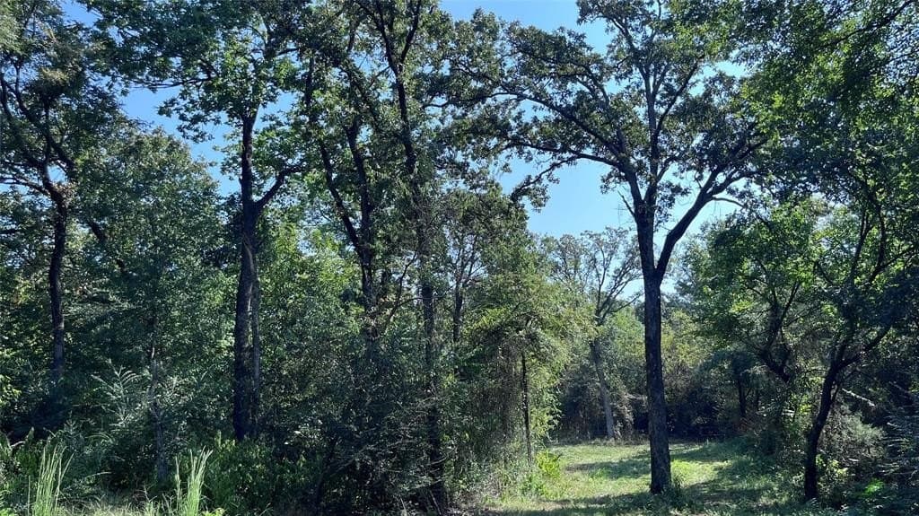 60.53 acres in Hopkins County - photo 17