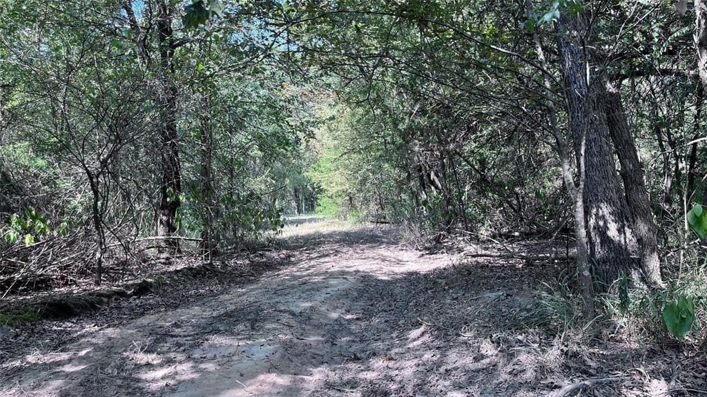 60.53 acres in Hopkins County - photo 19