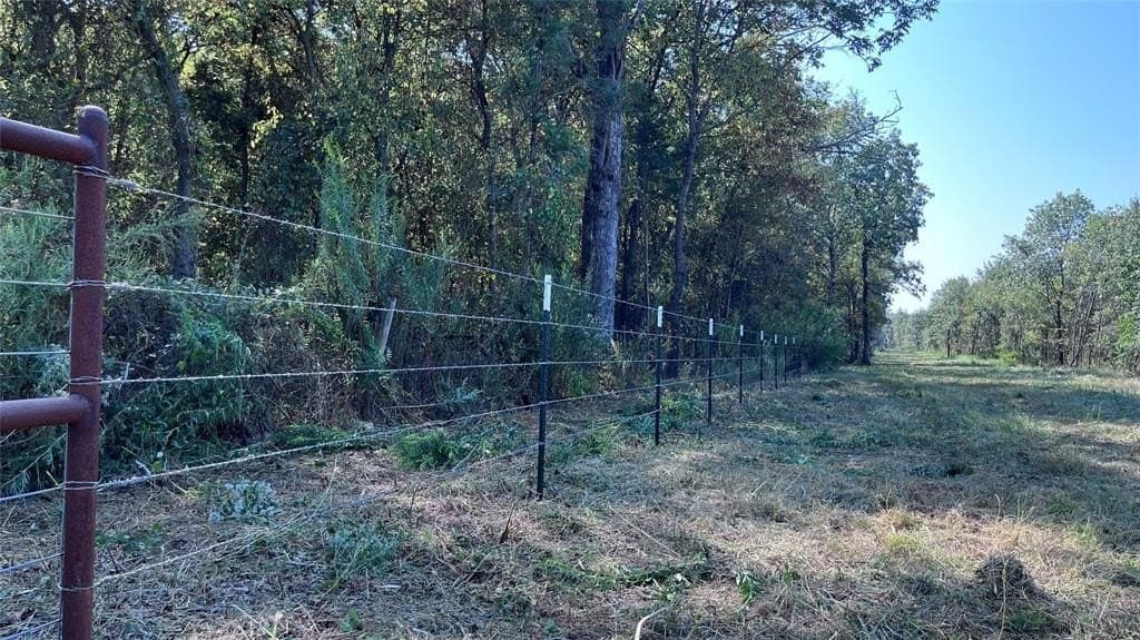 60.53 acres in Hopkins County - photo 9