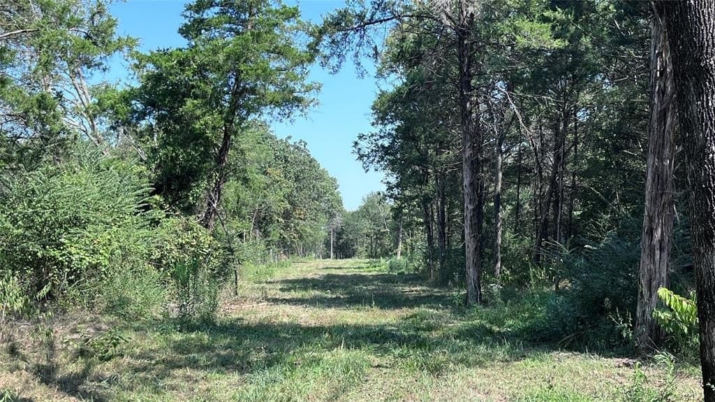 60.53 acres in Hopkins County - photo 18