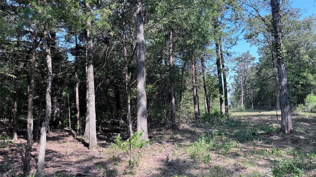 60.53 acres in Hopkins County - photo 20