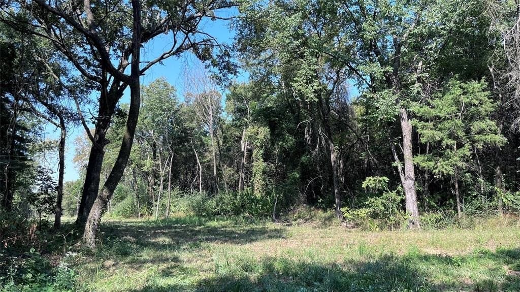 60.53 acres in Hopkins County - photo 2