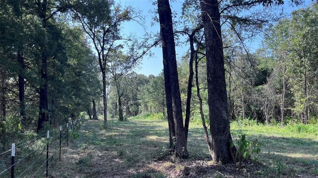60.53 acres in Hopkins County - photo 14