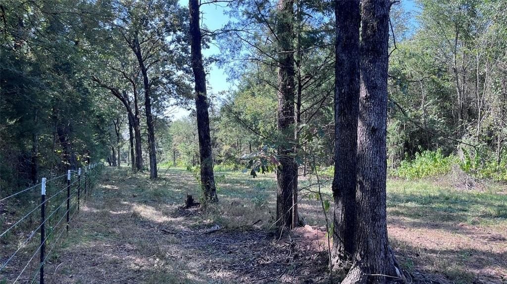 60.53 acres in Hopkins County - photo 4