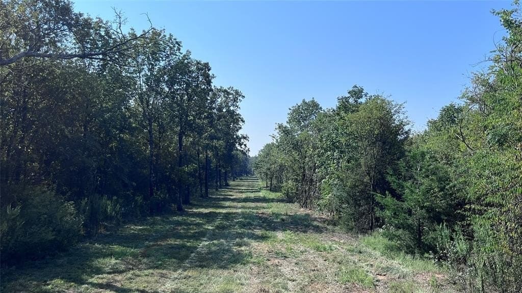 60.53 acres in Hopkins County - photo 16