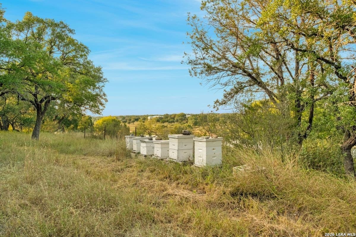 0 acres in Blanco County - photo 57