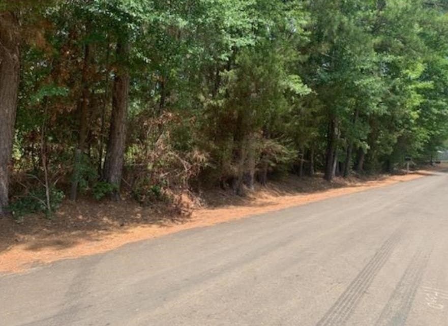 0.66 acres in Gregg County - photo 2