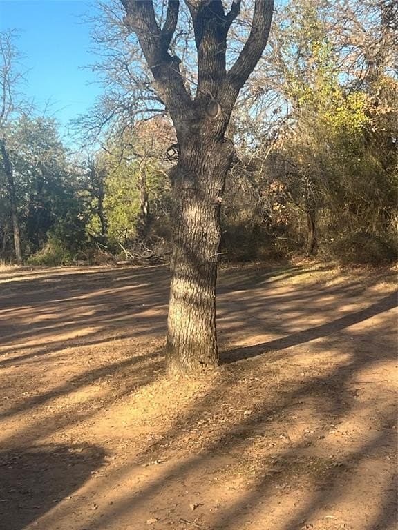 4.38 acres in Denton County - photo 10