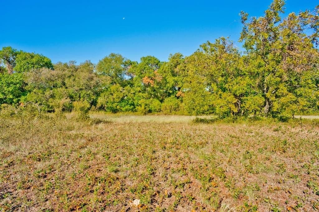 2.01 acres in Parker County - photo 10